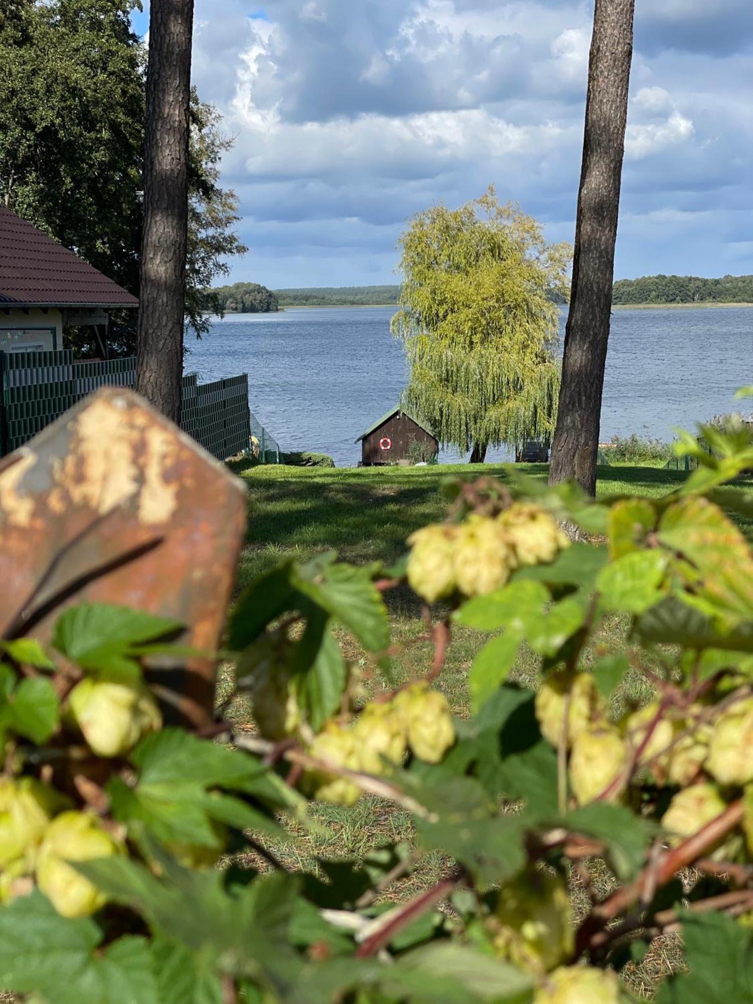 Urlaub am Plätlinsee - Haus Odin Wustrow  Exterior foto