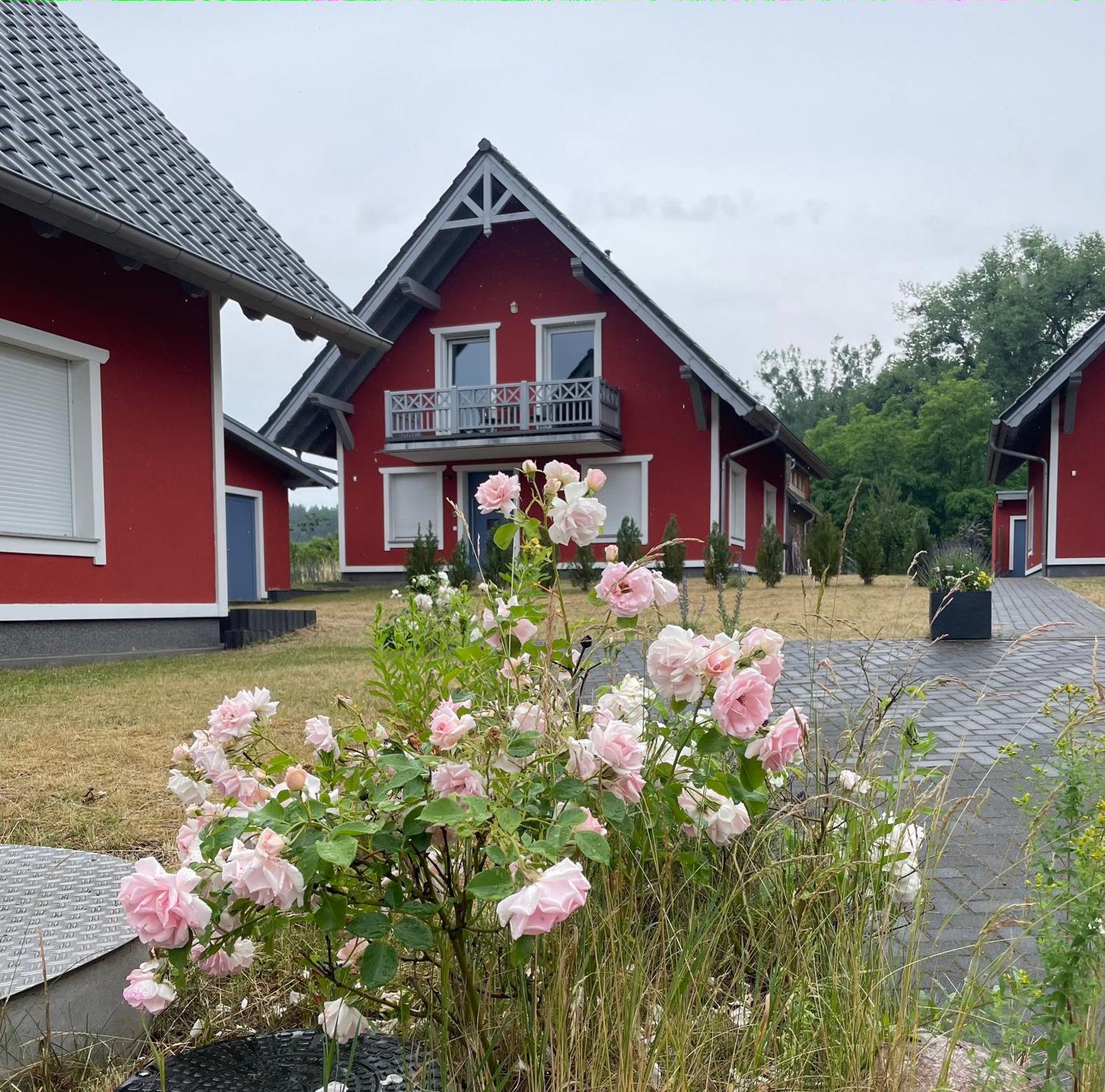 Urlaub am Plätlinsee - Haus Odin Wustrow  Exterior foto