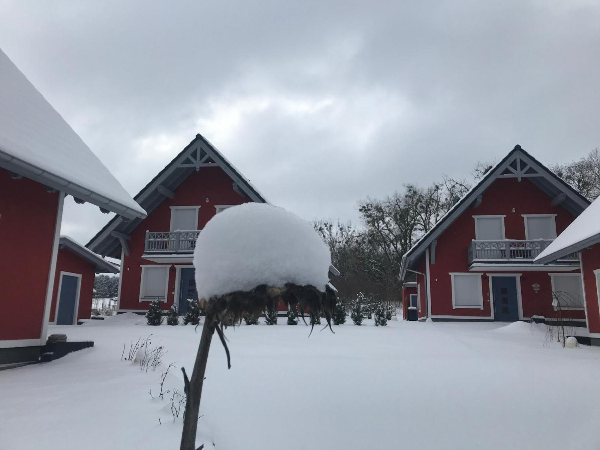 Urlaub am Plätlinsee - Haus Odin Wustrow  Exterior foto